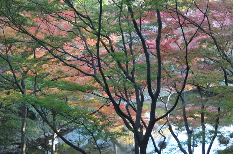 小石川後楽園_00001